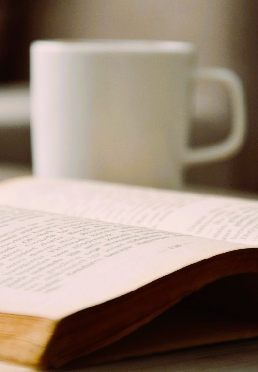 Your next favourite read